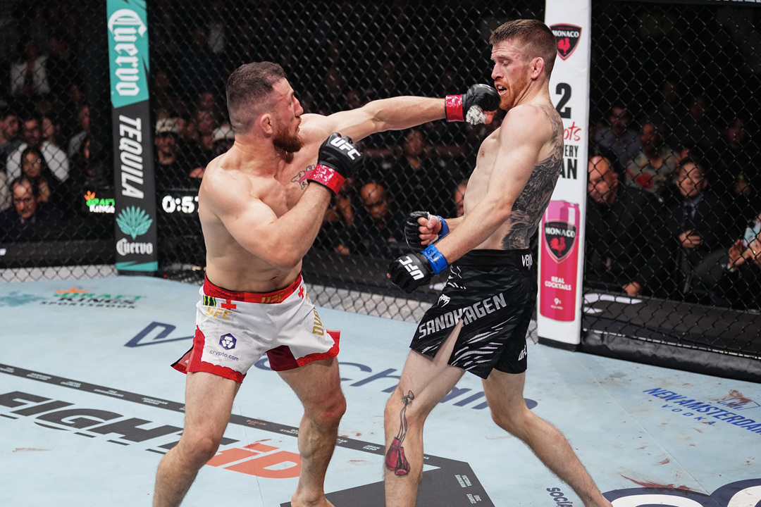 2025年10月5日UFC 320 – 直播[赛后视频] Ankalaev vs. Pereira 2 – Oct 4 | Ultimate Fighting Championship-图片2