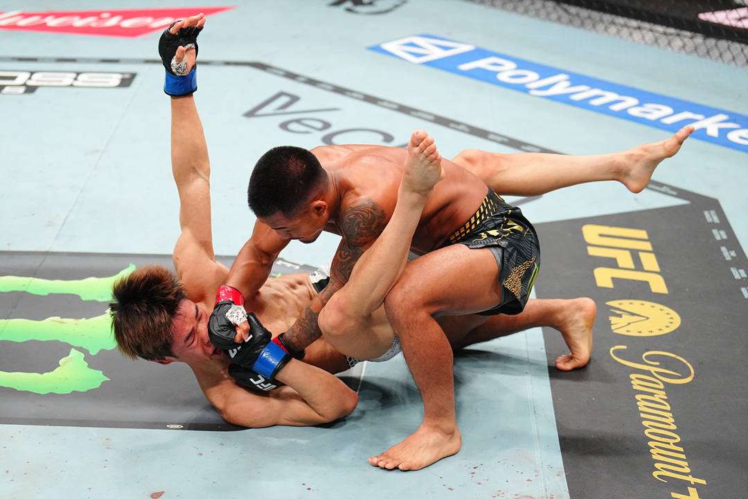 2026年5月10日UFC 328 – 直播[赛后视频] Chimaev vs. Strickland – 奇马耶夫VS吧主 | 约书亚VS平良达郎 | Ultimate Fighting Championship-图片1