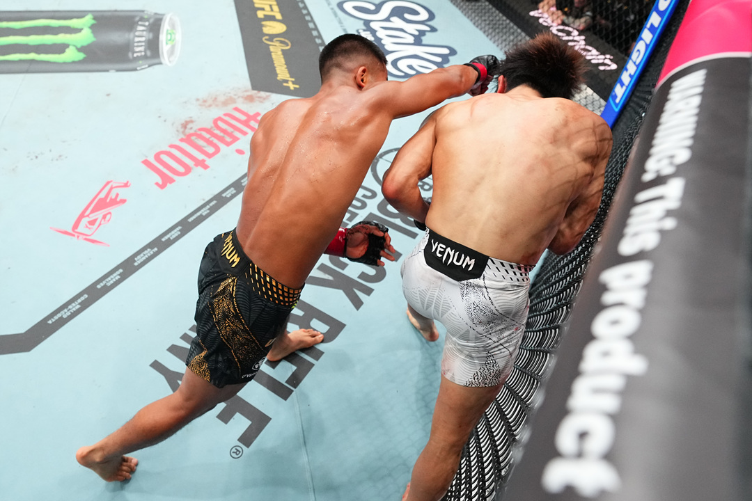 2026年5月10日UFC 328 – 直播[赛后视频] Chimaev vs. Strickland – 奇马耶夫VS吧主 | 约书亚VS平良达郎 | Ultimate Fighting Championship-图片1